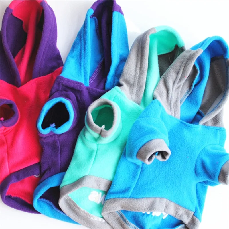 Cute Colored Winter Dog Hoodie