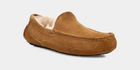 UGG Ascot Slipper Chestnut