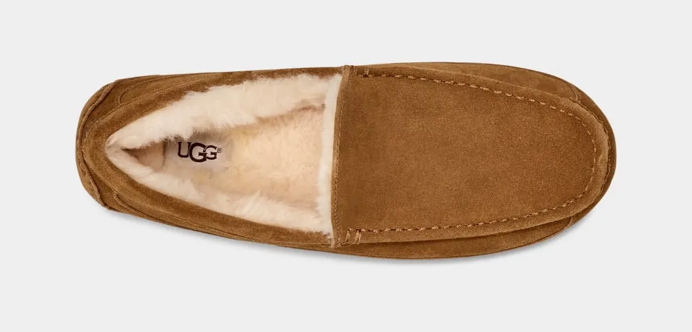 UGG Ascot Slipper Chestnut