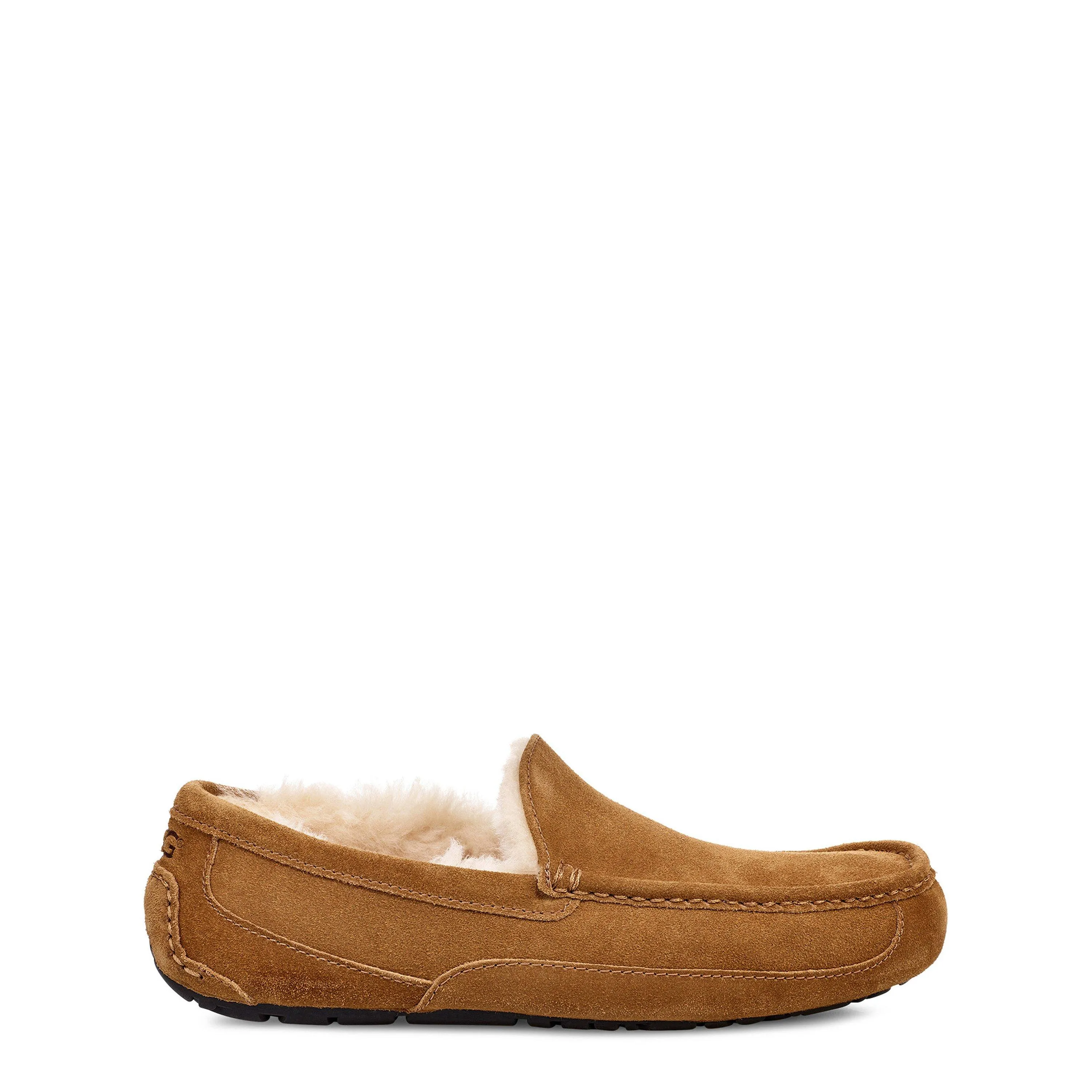 Ugg Ascot Slipper Mens