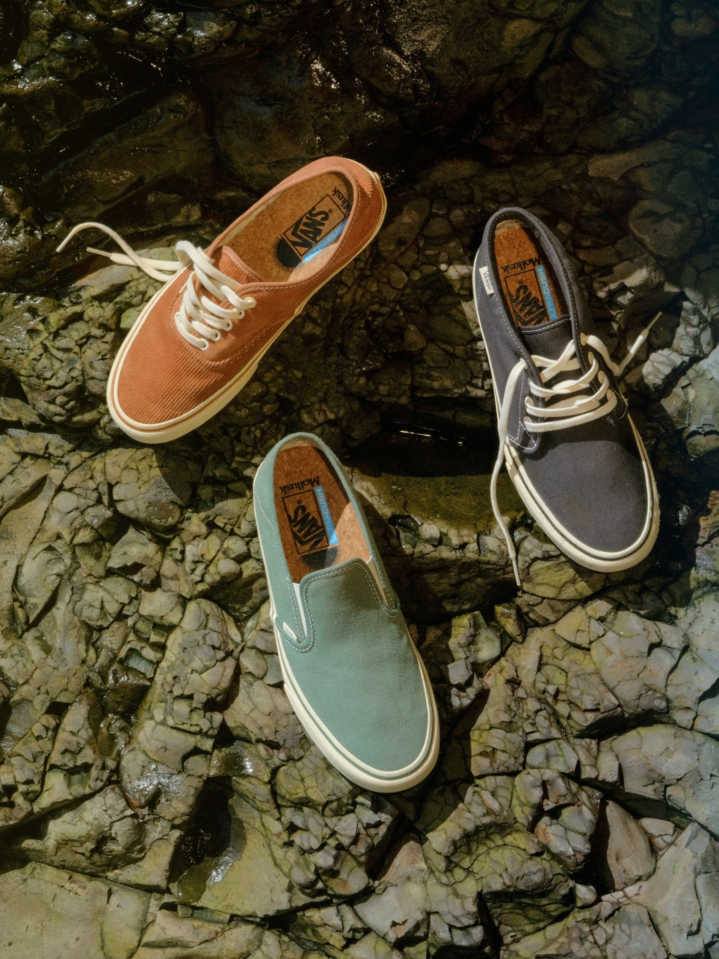 Vans / Mollusk Slip-Ons SF