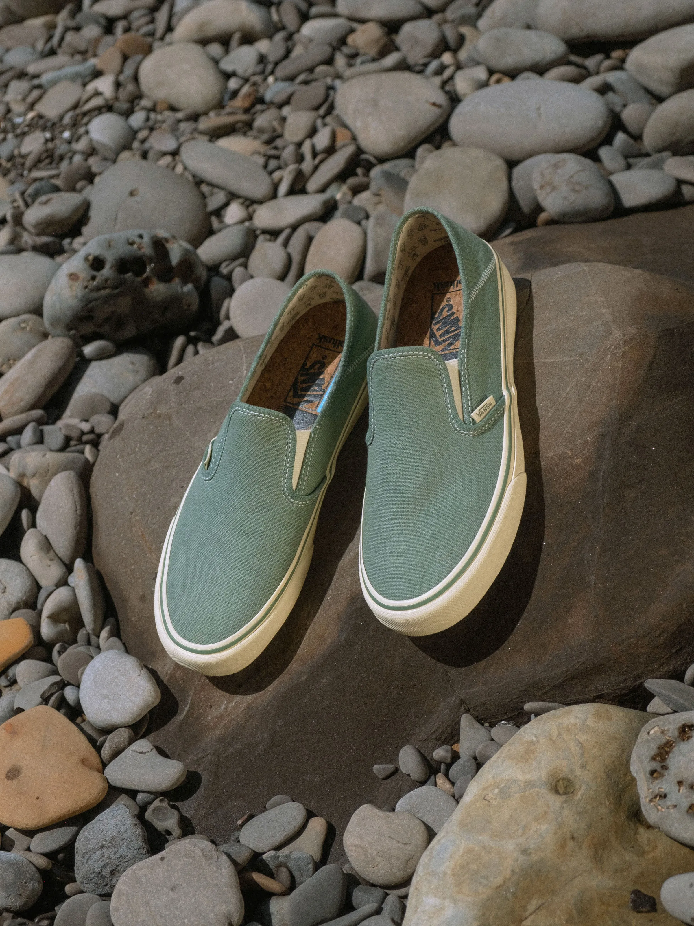 Vans / Mollusk Slip-Ons SF